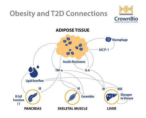 latina relationship between type 2 diabetes and obesity